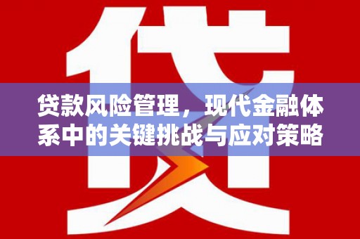 西畴贷款风险管理，现代金融体系中的关键挑战与应对策略
