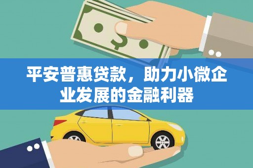 西畴平安普惠贷款，助力小微企业发展的金融利器