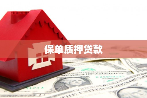西畴保单质押贷款