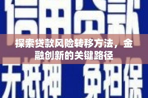 西畴探索贷款风险转移方法，金融创新的关键路径