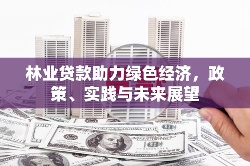 西畴林业贷款助力绿色经济，政策、实践与未来展望
