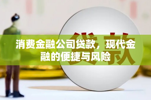 西畴消费金融公司贷款，现代金融的便捷与风险
