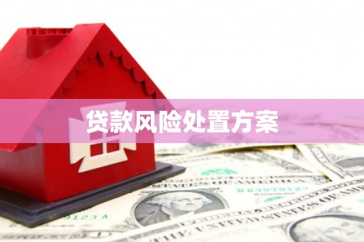西畴贷款风险处置方案
