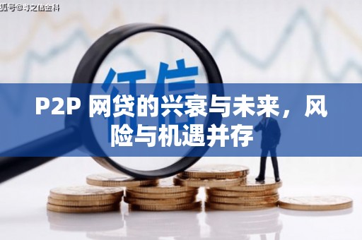 西畴P2P 网贷的兴衰与未来，风险与机遇并存