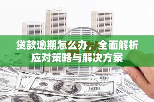西畴贷款逾期怎么办，全面解析应对策略与解决方案