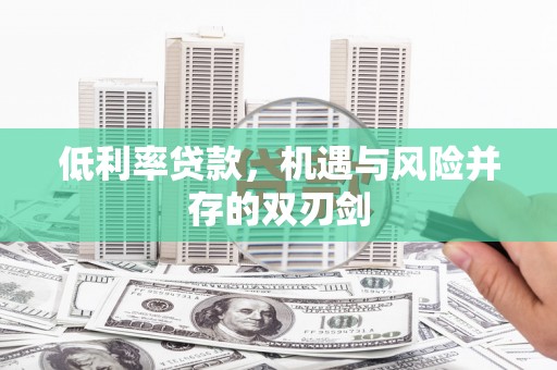 西畴低利率贷款，机遇与风险并存的双刃剑