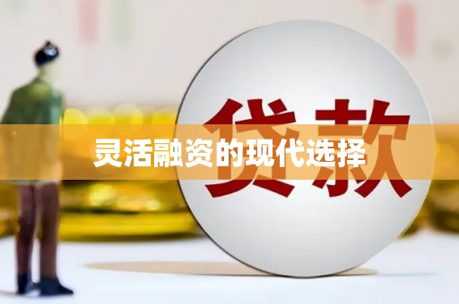 西畴灵活融资的现代选择