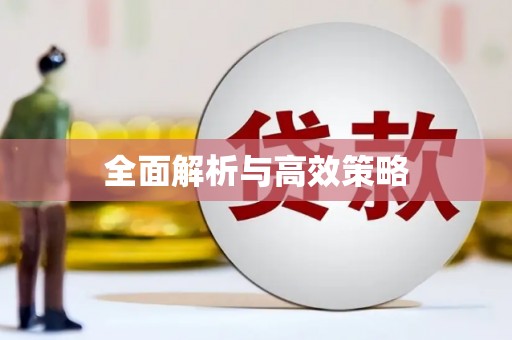 西畴全面解析与高效策略