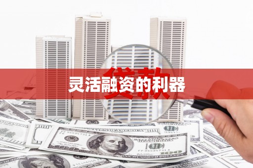 西畴灵活融资的利器