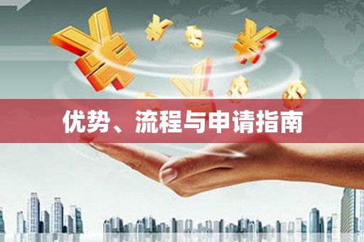 西畴优势、流程与申请指南