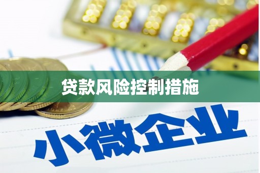 西畴贷款风险控制措施