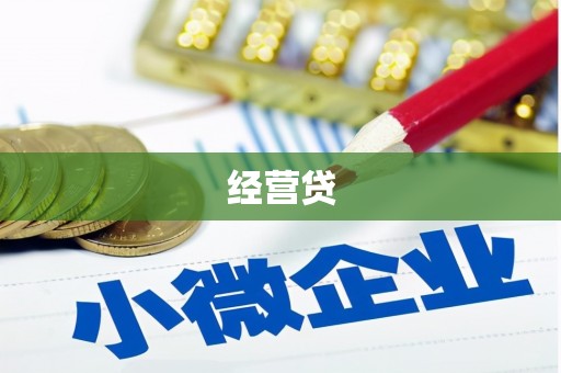 西畴经营贷