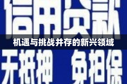 西畴机遇与挑战并存的新兴领域