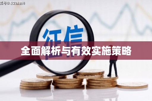 西畴全面解析与有效实施策略