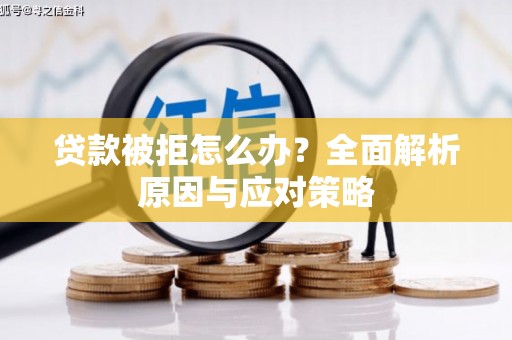 西畴贷款被拒怎么办？全面解析原因与应对策略