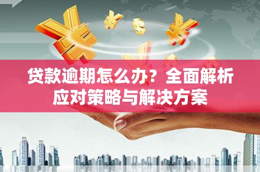 西畴贷款逾期怎么办？全面解析应对策略与解决方案