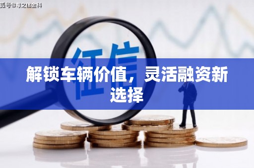 西畴解锁车辆价值，灵活融资新选择
