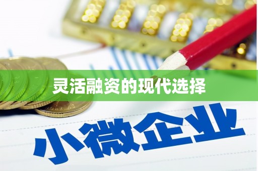 西畴灵活融资的现代选择