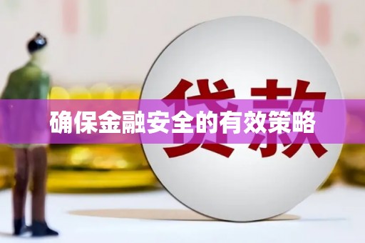 西畴确保金融安全的有效策略