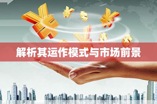 西畴解析其运作模式与市场前景
