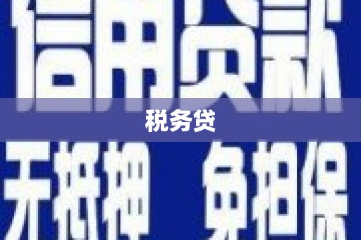 西畴税务贷