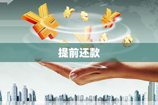 西畴提前还款