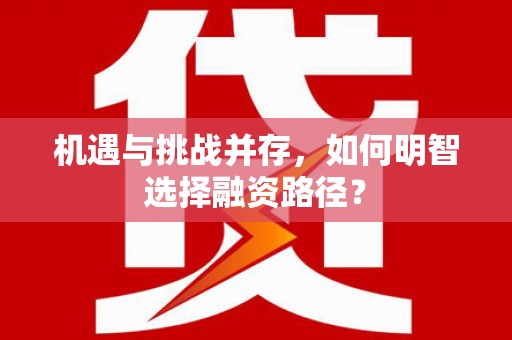 西畴机遇与挑战并存，如何明智选择融资路径？
