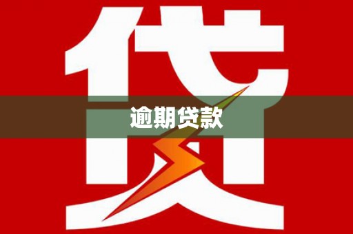 西畴逾期贷款