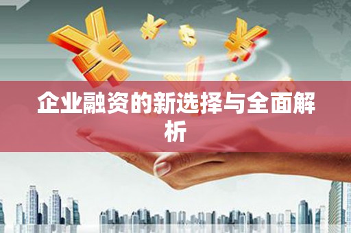 西畴企业融资的新选择与全面解析