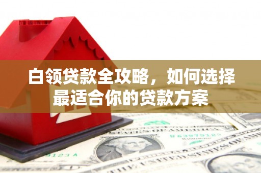 西畴白领贷款全攻略，如何选择最适合你的贷款方案