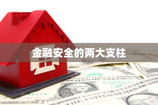 西畴金融安全的两大支柱