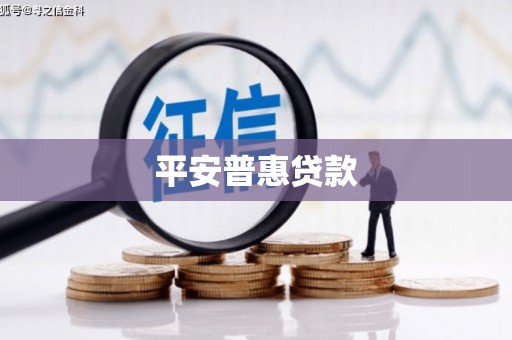 西畴平安普惠贷款