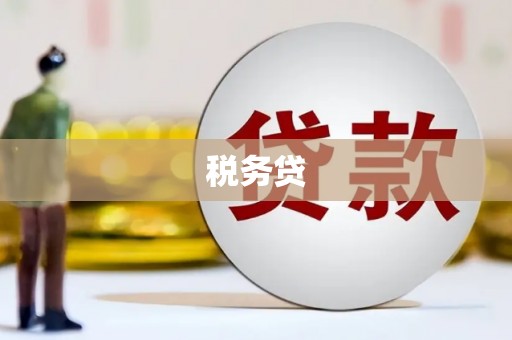 西畴税务贷